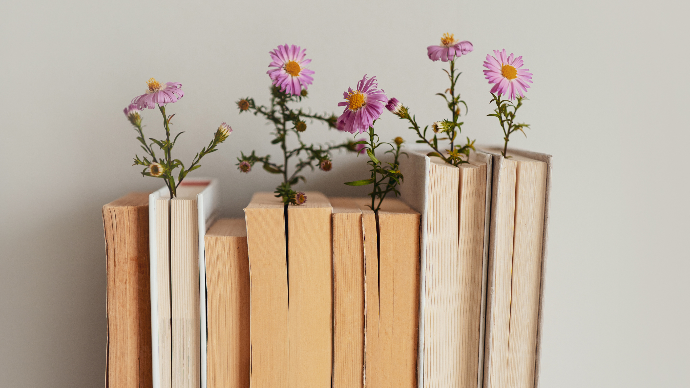 obrazki w treści (13)